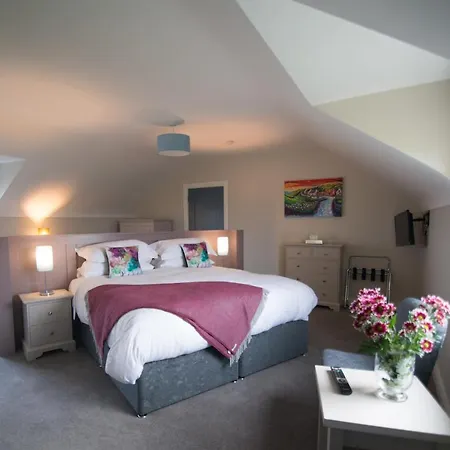 Sheedy's 3* Doolin