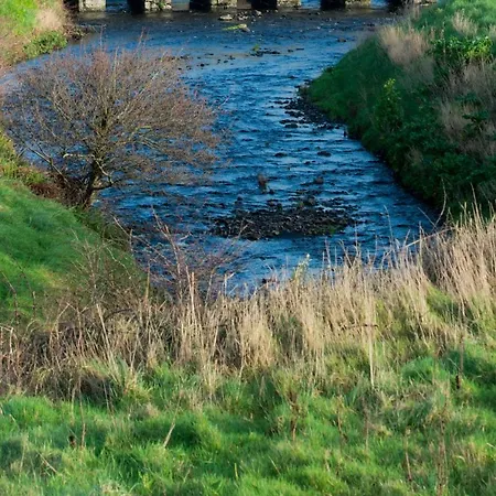 فندق مبيت وإفطار Sheedy's