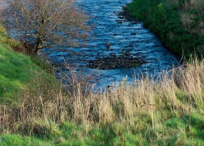 住宿加早餐酒店 Sheedy's