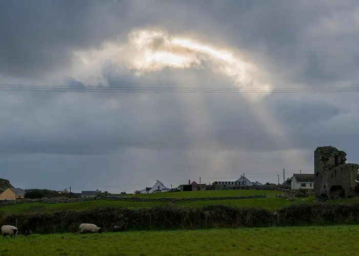 住宿加早餐酒店 Sheedy's