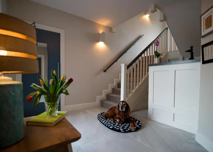 住宿加早餐酒店 Sheedy's 杜林